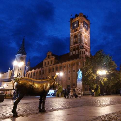 toruński fotograf